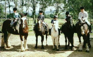 pony2000
